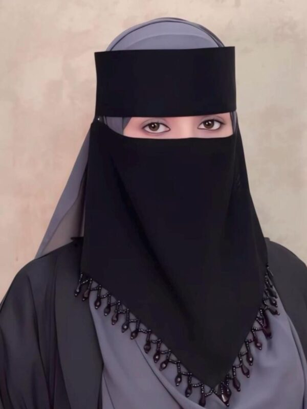 Naqab